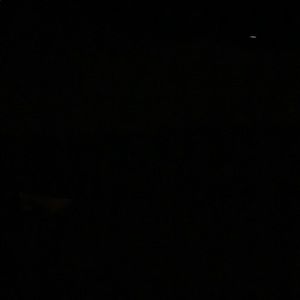 Meet your Posher, Logan